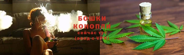 индика Бронницы